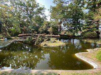 pond3 pond3